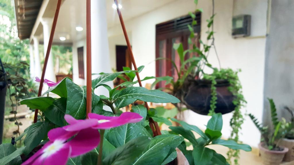 Kassapa Home Stay Sigirîya Extérieur photo